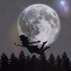 Moon Fairy