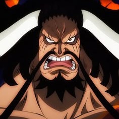 Kaido One Piece