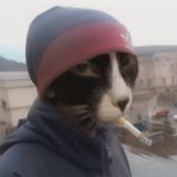 Rust Cat Frostbite Pfp By Adamekk 