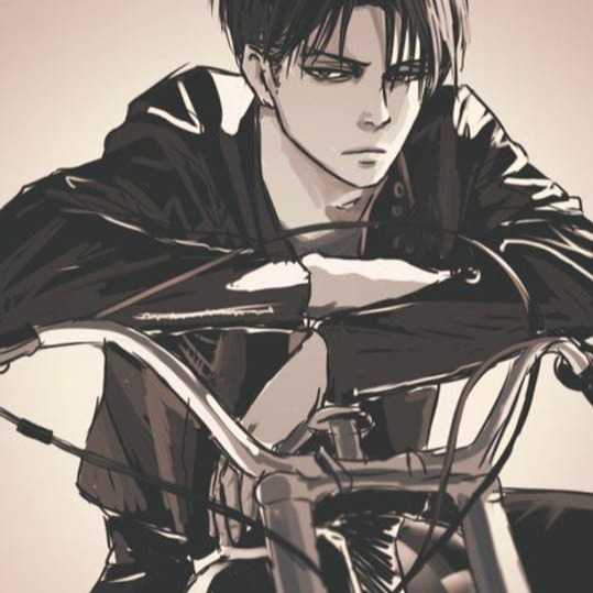 Levi Ackerman User Picture