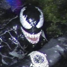 Venom Pfp