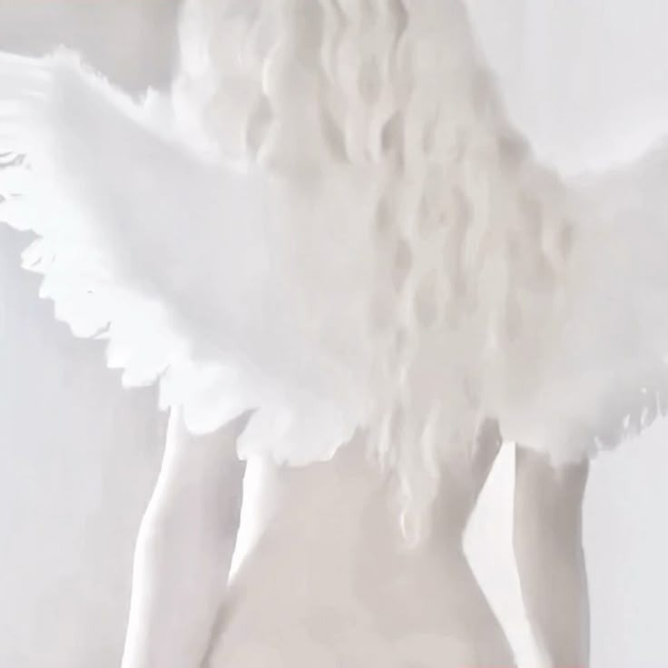 WhiteAngel Pfp