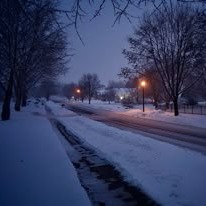 Winter Profile Picture