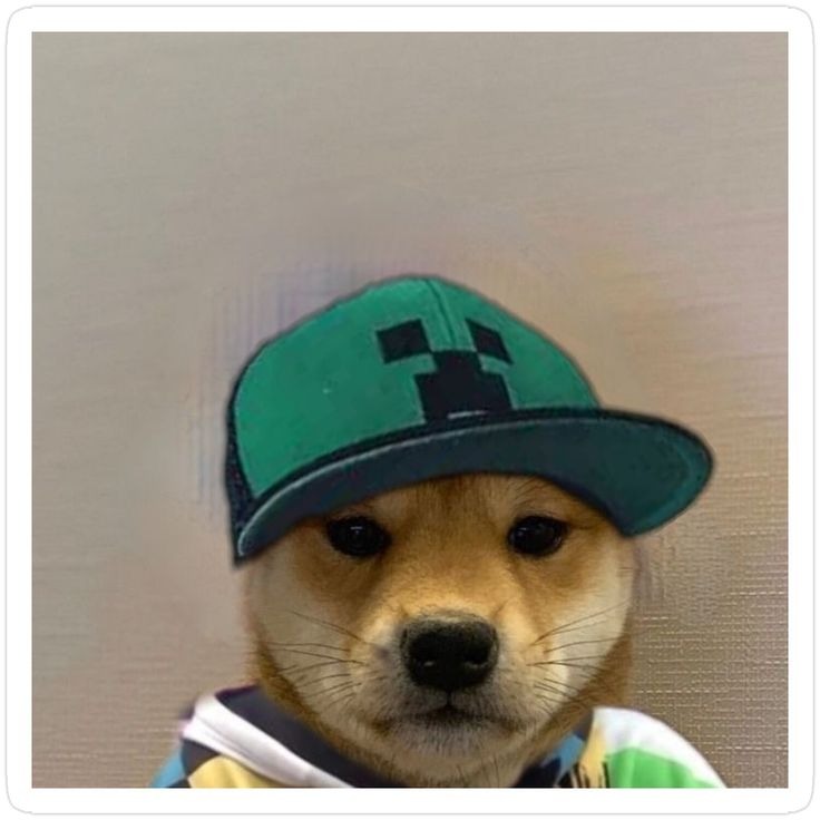 Dog Fortnite