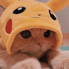 Pikachu Aesthetic