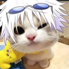 Geto Cat