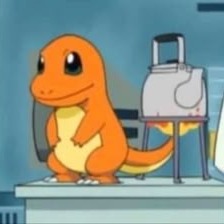 Charmander Pfp