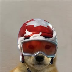 Dog Fortnite Profile Picture