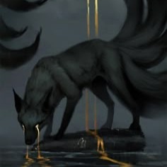 Black Fox