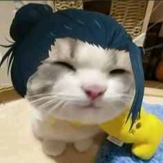 Geto Cat