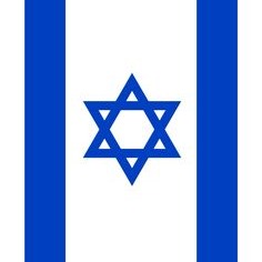 Israel Flag Pfp