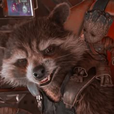 Rocket Raccoon Pfp