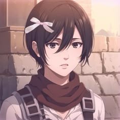 Mikasa Manga