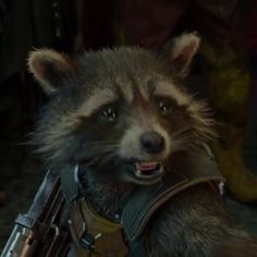 Rocket Raccoon Pfp