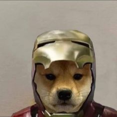 Iron Man Pfp
