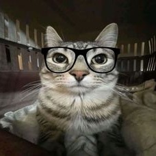 Cats With Glasses