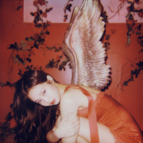 FallenAngel Pfp