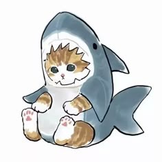 Shark Profile Picture