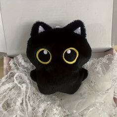 Aesthetic Black Cat