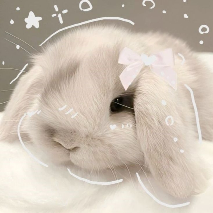 Cute Bunny Pfps And Icons For Discord Instagram TikTok Cute Bunny Pfps And Icons For Discord Instagram TikTok