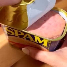 Spam