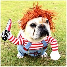 Dog Profile Image