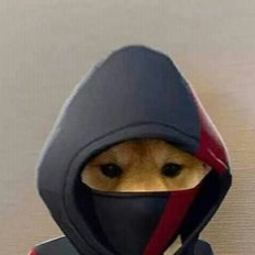 Dog Fortnite Icon