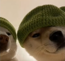 Matching pfp Profile Picture