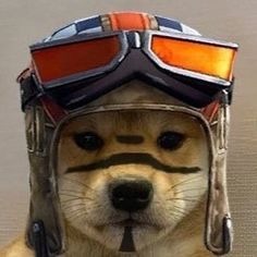 Dog Fortnite Icon