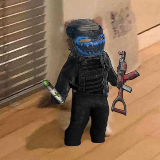 Rust cat frostbite