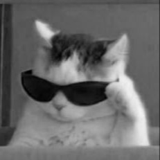 Coolest Pfps and Icons - For Discord, Instagram & TikTok