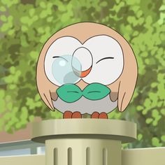 Rowlet