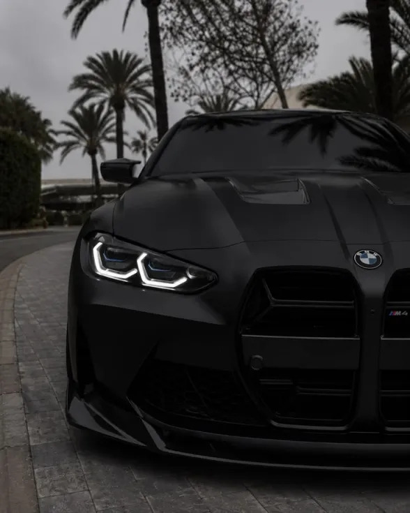 bmw Pfp
