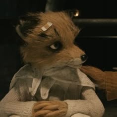 Fantastic Mr Fox Matching