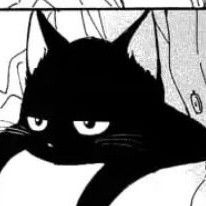 Black Cat Anime