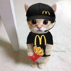 Mcdonald