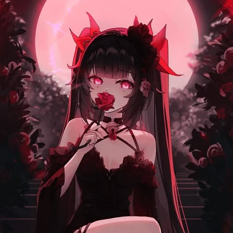 Honkai Profile Image