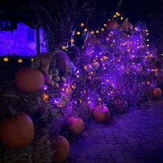 2867-purple-halloween.png