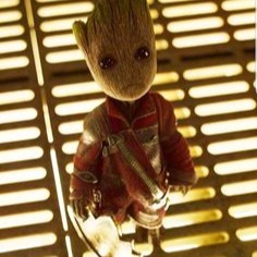 Groot Pfp
