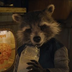 Rocket Raccoon Pfp