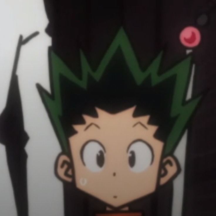 Hxh Matching Avatar