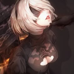 2b Pfp