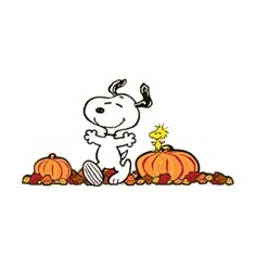 Snoopy Fall