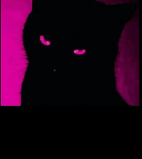 pink Pfp