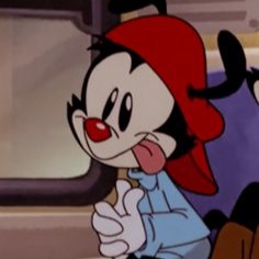 Animaniacs Pfp