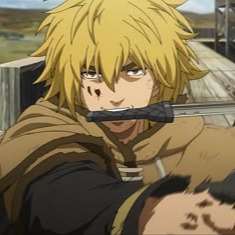 Vinland Saga Display Picture