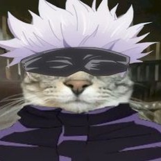 Geto Cat