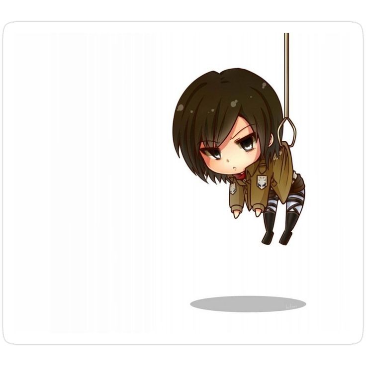 Mikasa