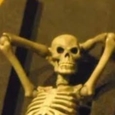 Skeleton Meme