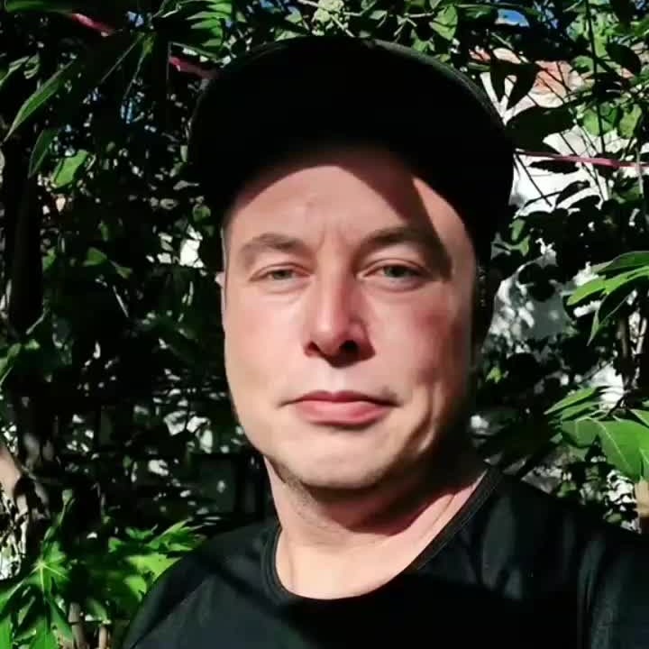 Elon Musk Profile Avatar